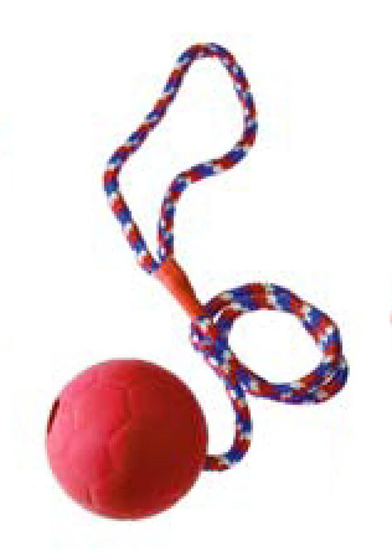 Výcvikový míček na šňůrce